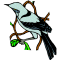 Mockingbird
