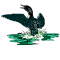Common Loon