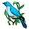 Bluebird