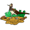 Chaparral Bird