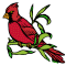 Cardinal