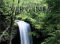 Commonwealth of Virginia calendars