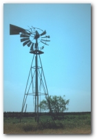 Click for larger image - Copyright, James Bynum