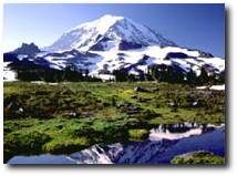 Mt. Rainier