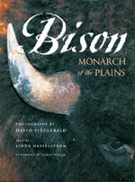 Bison: Monarch of the Plains