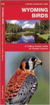 Wyoming Birds: A Folding Pocket Guide to Familiar Species