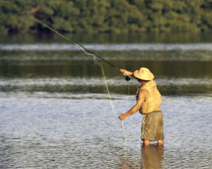 Fly fisherman