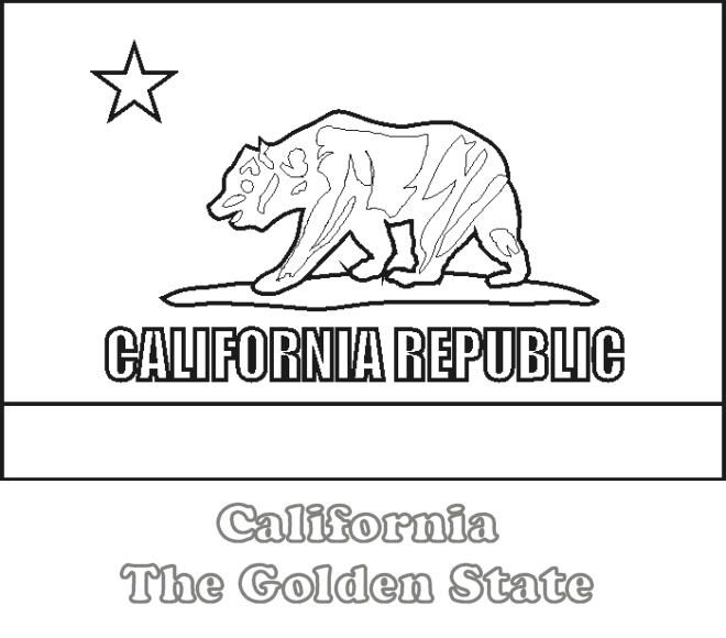 California state flag