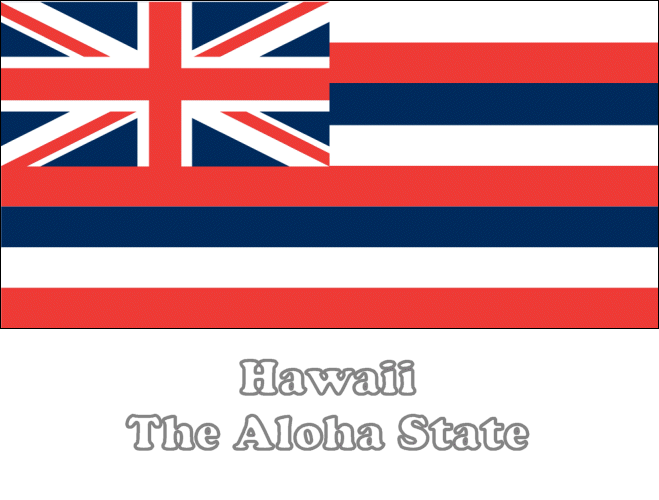 Large, Horizontal, Printable Hawaii State Flag, from