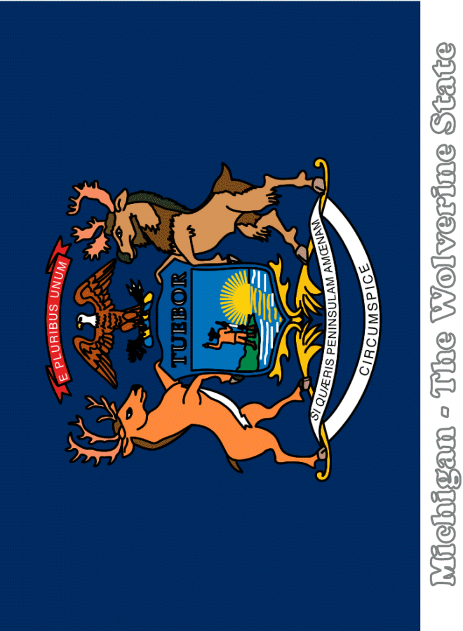 Michigan state flag