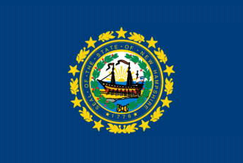 New Hampshire state flag