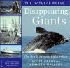 Disappearing Giants: The North Atlantic Right Whale 