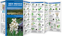 New Mexico Trees & Wildflowers: A Folding Pocket Guide to Familiar Species