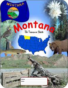 Montana School Report Cover