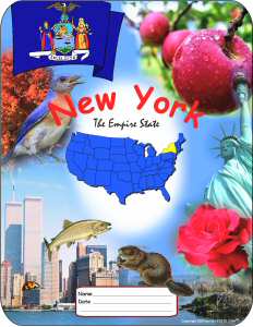 New York School Report Cover