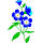 Alaska state flower
