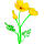 California state flower