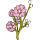 Delaware state flower