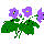 Illinois state flower