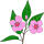 Michigan state flower