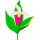 Minnesota state flower