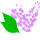 New Hampshire state flower
