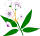 Commonwealth of Pennsylvania flower