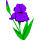 Tennessee state flower