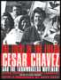 The Fight in the Fields: Cesar Chavez and the Farmworkers Movement