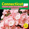 Connecticut Facts and Symbols