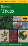 A Field Guide to Eastern Trees