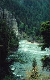 Colorado Stream, Copyright ©  by James Bynum