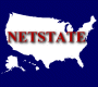 NETSTATE Logo