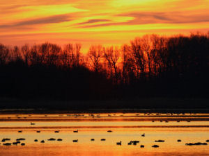 Bombay Hook National Wildlife Refuge