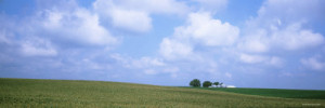 Iowa farm, Marshall County