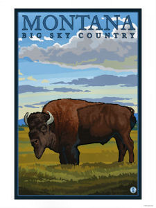 Big Sky Bison Poster