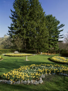 New Jersey Botanical Garden