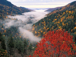 From Morton Overlook, Great Smoky Mountains National Park