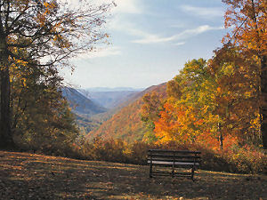 Babcock State Park