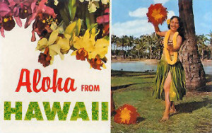 Hawaii Magnet