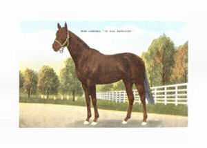 War Admiral - Kentucky Derby Winner