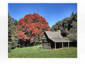 Cabin Near Blue Ridge Parkway