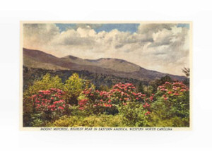 Mt. Mitchell, Highest Point in North Carolina