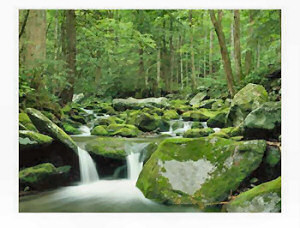 Roaring Fork River