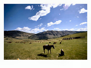 Cattle Drive, Snake River Ranch