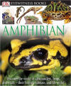 Amphibian