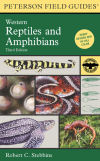 Western Reptiles and Amphibians