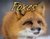 Animal Predators: Foxes