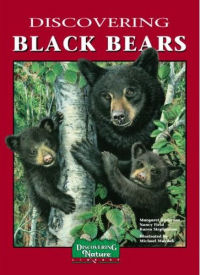 Discovering Black Bears