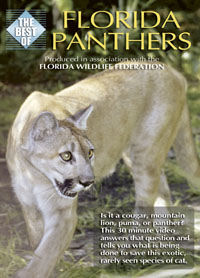 The Best of: Florida Panthers